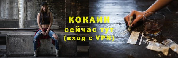 прущий лед Новозыбков
