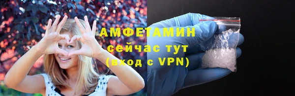 сатива Новокубанск
