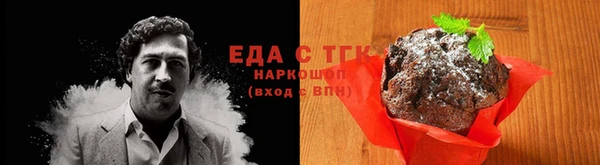 прущий лед Новозыбков