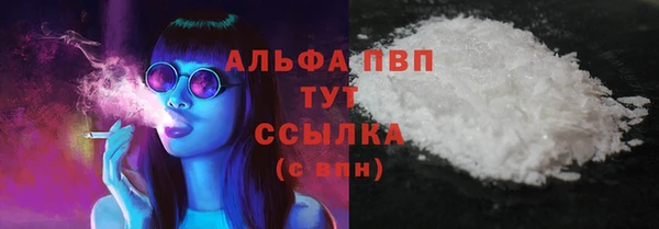 прущий лед Новозыбков