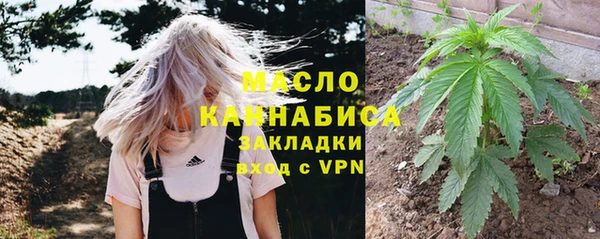 сатива Новокубанск