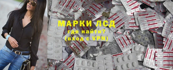 прущий лед Новозыбков