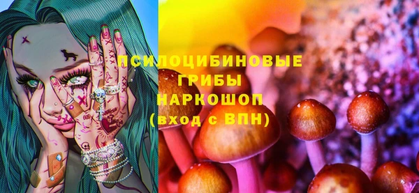 mix Новодвинск