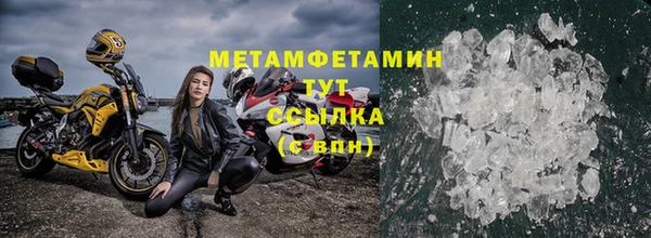сатива Новокубанск