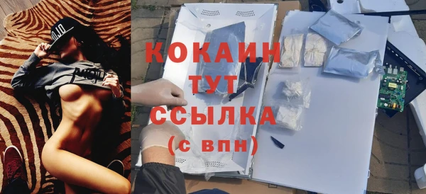 прущий лед Новозыбков