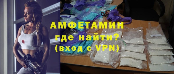 сатива Новокубанск