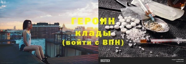 сатива Новокубанск