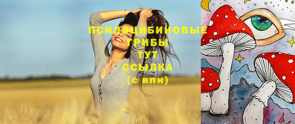 сатива Новокубанск